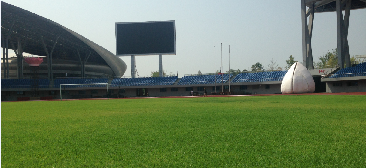 足球場2